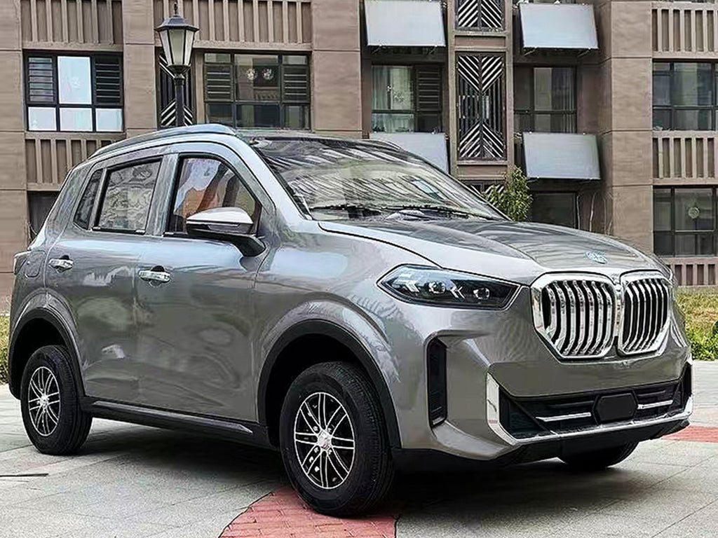 Mini Electric Vehicle (LSEV) (Price Upon Request)