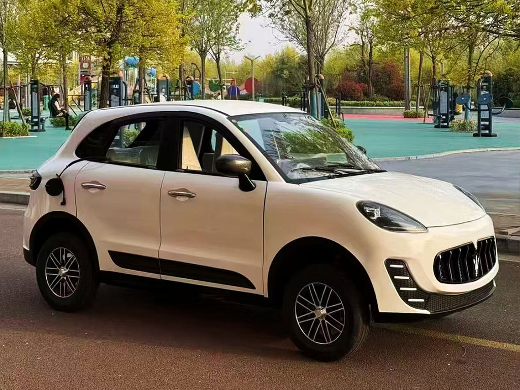 Mini Electric Vehicle (LSEV) (Price Upon Request)