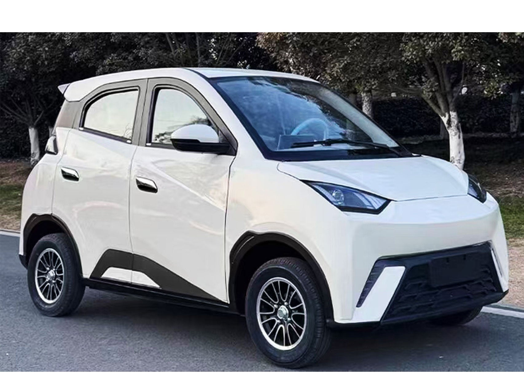 Mini Electric Vehicle (LSEV) (Price Upon Request)