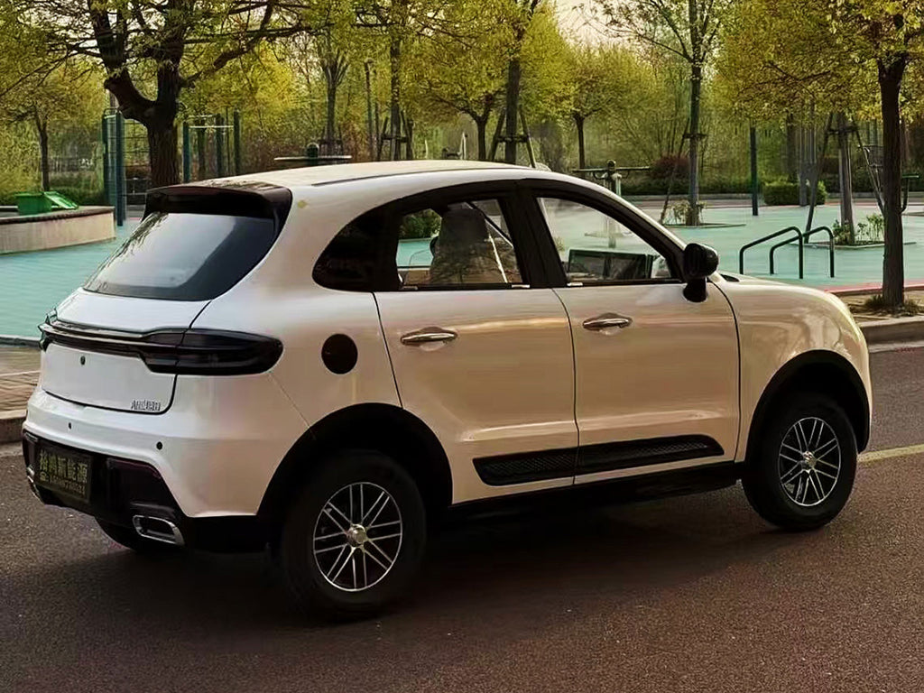 Mini Electric Vehicle (LSEV) (Price Upon Request)