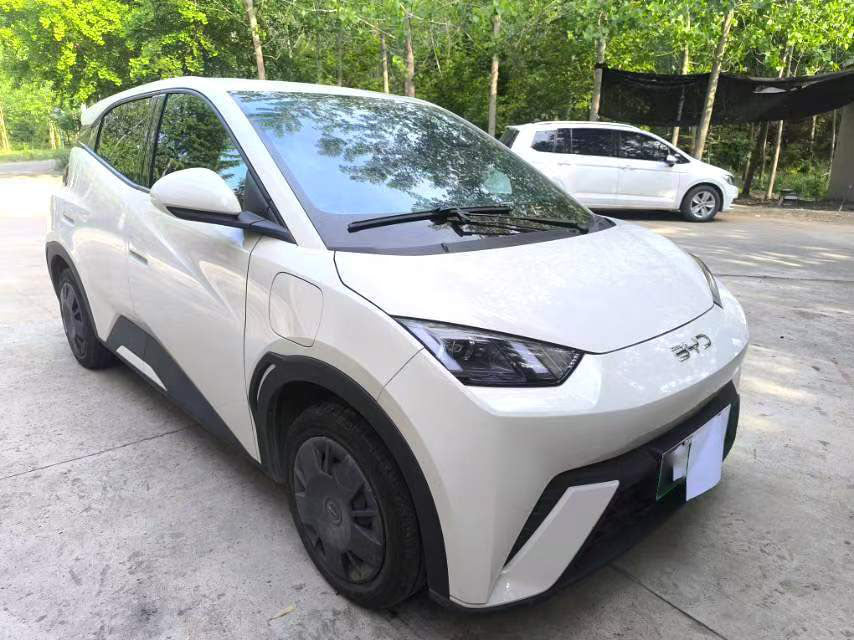 2023 BYD Seagull (EV)