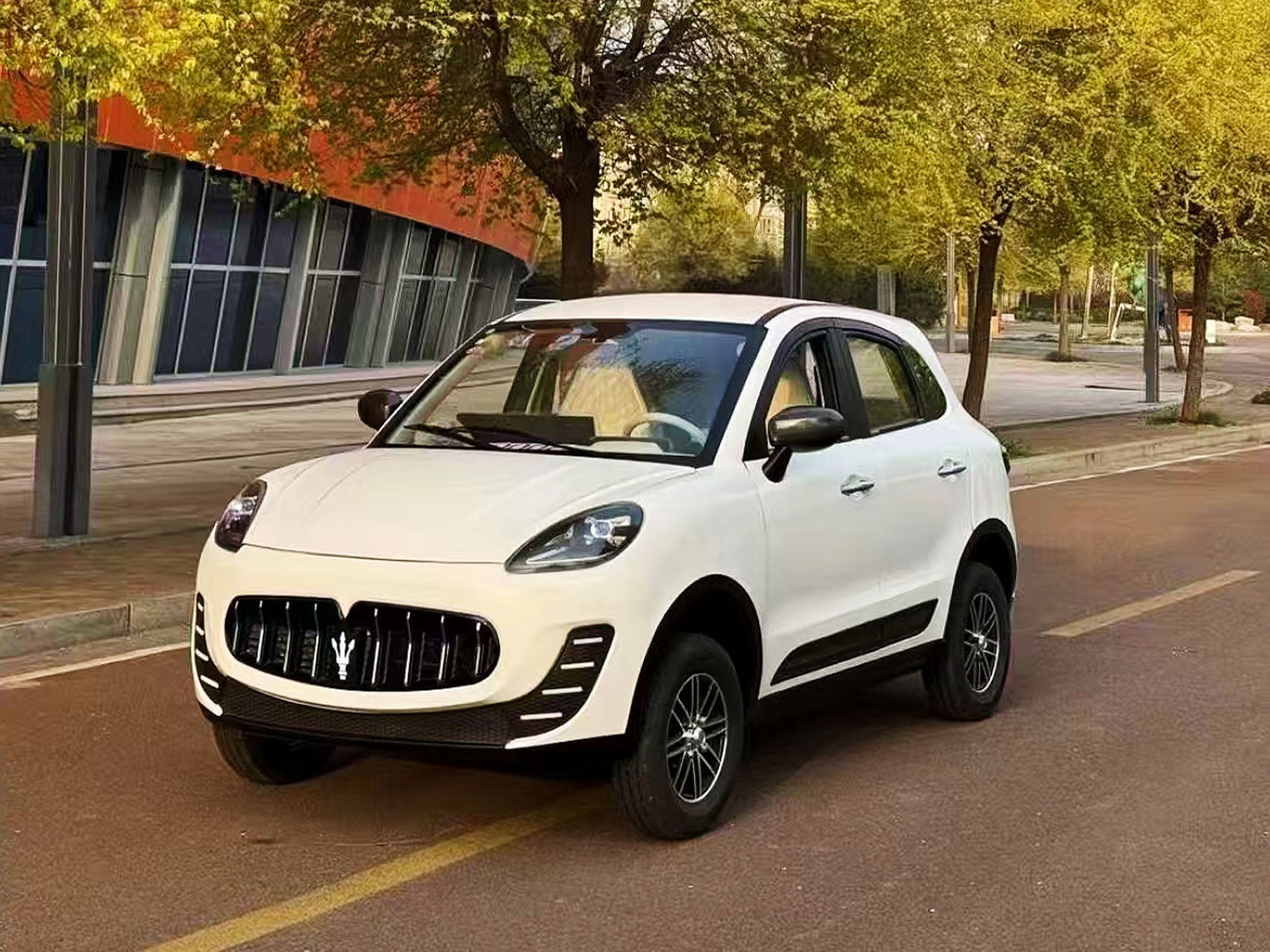 Mini Electric Vehicle (LSEV) (Price Upon Request)