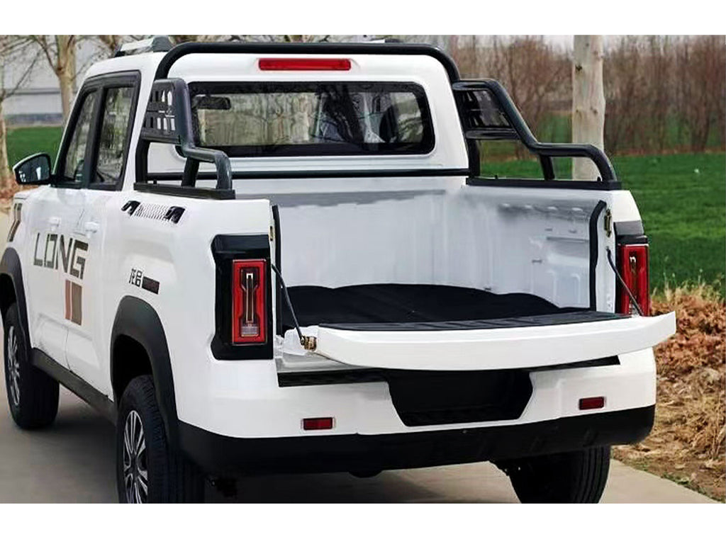 Mini Electric Vehicle (LSEV) (Price Upon Request)