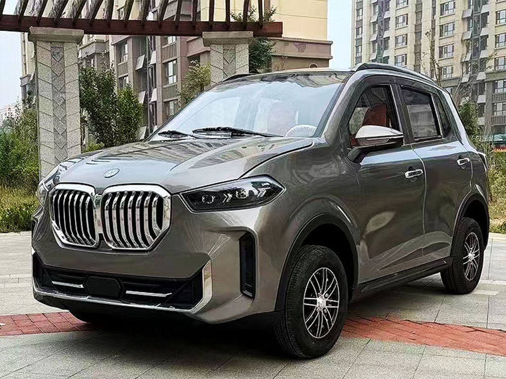 Mini Electric Vehicle (LSEV) (Price Upon Request)