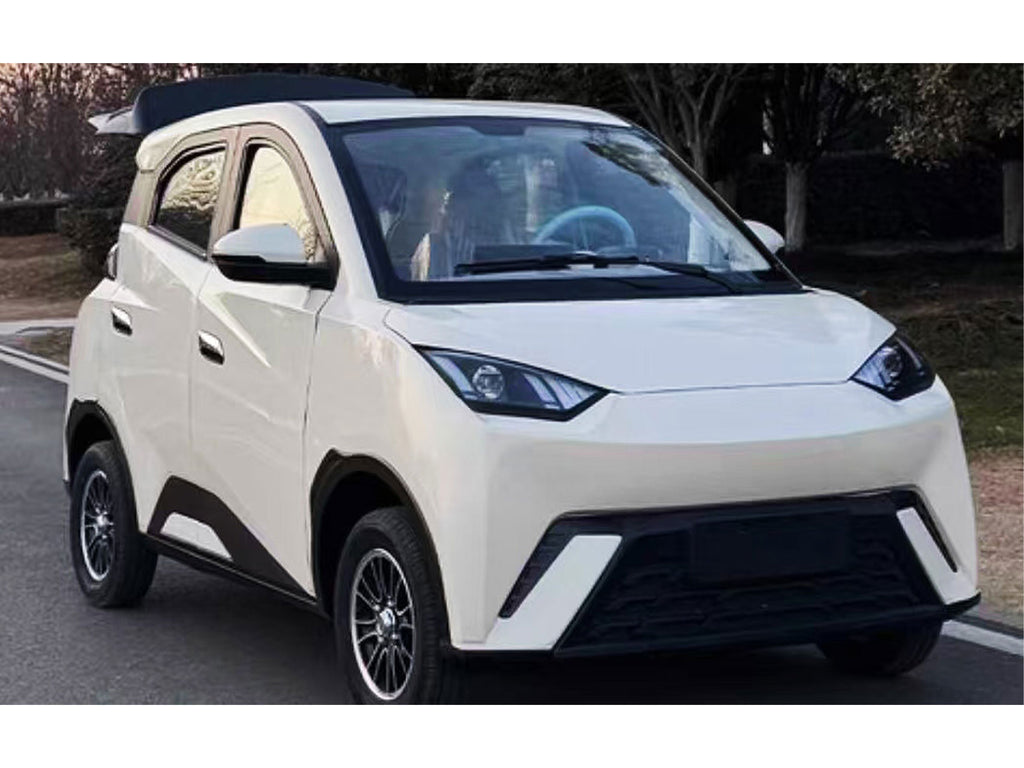 Mini Electric Vehicle (LSEV) (Price Upon Request)